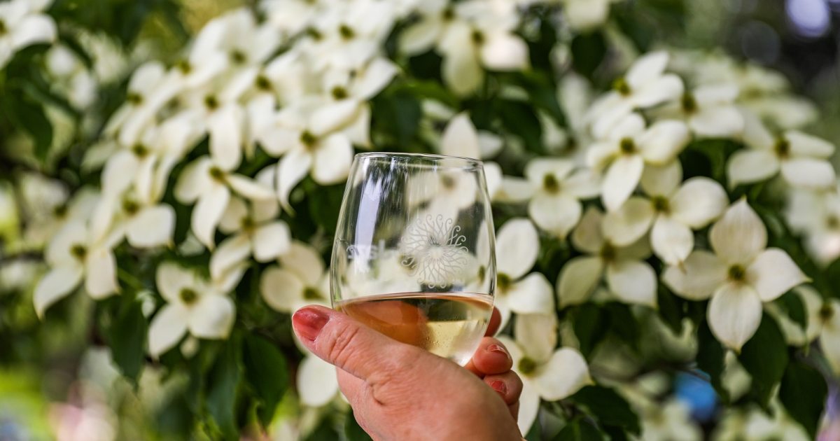 Wine and Floral Design Longwood Gardens